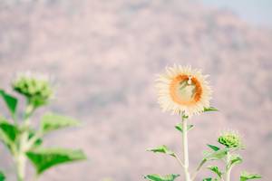 BIB: 
                            <button type="button" onclick="openModal(7258294)" class="btn btn-primary btn-sm float-right btn-popup" data-toggle="modal" data-target=".modal-high-quality">
                        <i class="fas fa-shopping-cart"></i> Add to Cart
                    </button>
                                            <button type="button" onclick="isThisMe(7258294, true)" class="btn btn-success btn-sm float-right btn-popup btn-isme hidden" data-toggle="tooltip" data-placement="bottom" title="นี่คือรูปของคุณใช่ไหม คลิกที่นี่เพื่อเอาเข้าอัลบั้ม">
                        <i class="fas fa-plus"></i> Add to album
                    </button>
                    <button type="button" onclick="isThisMe(7258294, false)" class="btn btn-warning btn-sm float-right btn-popup btn-isnotme hidden">
                        <i class="fas fa-ban"></i> Remove from album
                    </button>