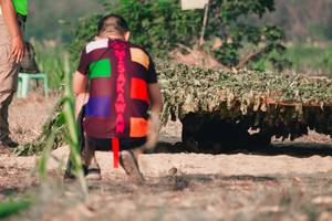 BIB: 
                            <button type="button" onclick="openModal(7258281)" class="btn btn-primary btn-sm float-right btn-popup" data-toggle="modal" data-target=".modal-high-quality">
                        <i class="fas fa-shopping-cart"></i> Add to Cart
                    </button>
                                            <button type="button" onclick="isThisMe(7258281, true)" class="btn btn-success btn-sm float-right btn-popup btn-isme hidden" data-toggle="tooltip" data-placement="bottom" title="นี่คือรูปของคุณใช่ไหม คลิกที่นี่เพื่อเอาเข้าอัลบั้ม">
                        <i class="fas fa-plus"></i> Add to album
                    </button>
                    <button type="button" onclick="isThisMe(7258281, false)" class="btn btn-warning btn-sm float-right btn-popup btn-isnotme hidden">
                        <i class="fas fa-ban"></i> Remove from album
                    </button>