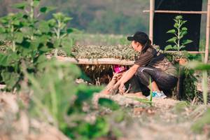 BIB: 
                            <button type="button" onclick="openModal(7258243)" class="btn btn-primary btn-sm float-right btn-popup" data-toggle="modal" data-target=".modal-high-quality">
                        <i class="fas fa-shopping-cart"></i> Add to Cart
                    </button>
                                            <button type="button" onclick="isThisMe(7258243, true)" class="btn btn-success btn-sm float-right btn-popup btn-isme hidden" data-toggle="tooltip" data-placement="bottom" title="นี่คือรูปของคุณใช่ไหม คลิกที่นี่เพื่อเอาเข้าอัลบั้ม">
                        <i class="fas fa-plus"></i> Add to album
                    </button>
                    <button type="button" onclick="isThisMe(7258243, false)" class="btn btn-warning btn-sm float-right btn-popup btn-isnotme hidden">
                        <i class="fas fa-ban"></i> Remove from album
                    </button>