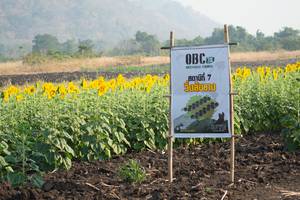 BIB: 
                            <button type="button" onclick="openModal(7258333)" class="btn btn-primary btn-sm float-right btn-popup" data-toggle="modal" data-target=".modal-high-quality">
                        <i class="fas fa-shopping-cart"></i> Add to Cart
                    </button>
                                            <button type="button" onclick="isThisMe(7258333, true)" class="btn btn-success btn-sm float-right btn-popup btn-isme hidden" data-toggle="tooltip" data-placement="bottom" title="นี่คือรูปของคุณใช่ไหม คลิกที่นี่เพื่อเอาเข้าอัลบั้ม">
                        <i class="fas fa-plus"></i> Add to album
                    </button>
                    <button type="button" onclick="isThisMe(7258333, false)" class="btn btn-warning btn-sm float-right btn-popup btn-isnotme hidden">
                        <i class="fas fa-ban"></i> Remove from album
                    </button>