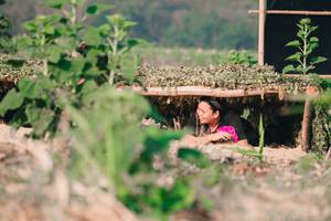 BIB: 
                            <button type="button" onclick="openModal(7258245)" class="btn btn-primary btn-sm float-right btn-popup" data-toggle="modal" data-target=".modal-high-quality">
                        <i class="fas fa-shopping-cart"></i> Add to Cart
                    </button>
                                            <button type="button" onclick="isThisMe(7258245, true)" class="btn btn-success btn-sm float-right btn-popup btn-isme hidden" data-toggle="tooltip" data-placement="bottom" title="นี่คือรูปของคุณใช่ไหม คลิกที่นี่เพื่อเอาเข้าอัลบั้ม">
                        <i class="fas fa-plus"></i> Add to album
                    </button>
                    <button type="button" onclick="isThisMe(7258245, false)" class="btn btn-warning btn-sm float-right btn-popup btn-isnotme hidden">
                        <i class="fas fa-ban"></i> Remove from album
                    </button>