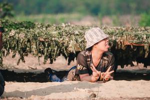 BIB: 
                            <button type="button" onclick="openModal(7258308)" class="btn btn-primary btn-sm float-right btn-popup" data-toggle="modal" data-target=".modal-high-quality">
                        <i class="fas fa-shopping-cart"></i> Add to Cart
                    </button>
                                            <button type="button" onclick="isThisMe(7258308, true)" class="btn btn-success btn-sm float-right btn-popup btn-isme hidden" data-toggle="tooltip" data-placement="bottom" title="นี่คือรูปของคุณใช่ไหม คลิกที่นี่เพื่อเอาเข้าอัลบั้ม">
                        <i class="fas fa-plus"></i> Add to album
                    </button>
                    <button type="button" onclick="isThisMe(7258308, false)" class="btn btn-warning btn-sm float-right btn-popup btn-isnotme hidden">
                        <i class="fas fa-ban"></i> Remove from album
                    </button>