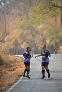 BIB: 
                            <button type="button" onclick="openModal(7241806)" class="btn btn-primary btn-sm float-right btn-popup" data-toggle="modal" data-target=".modal-high-quality">
                        <i class="fas fa-shopping-cart"></i> Add to Cart
                    </button>
                                            <button type="button" onclick="isThisMe(7241806, true)" class="btn btn-success btn-sm float-right btn-popup btn-isme hidden" data-toggle="tooltip" data-placement="bottom" title="นี่คือรูปของคุณใช่ไหม คลิกที่นี่เพื่อเอาเข้าอัลบั้ม">
                        <i class="fas fa-plus"></i> Add to album
                    </button>
                    <button type="button" onclick="isThisMe(7241806, false)" class="btn btn-warning btn-sm float-right btn-popup btn-isnotme hidden">
                        <i class="fas fa-ban"></i> Remove from album
                    </button>