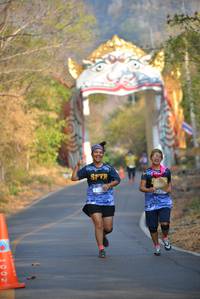 BIB: 
                            <button type="button" onclick="openModal(7241706)" class="btn btn-primary btn-sm float-right btn-popup" data-toggle="modal" data-target=".modal-high-quality">
                        <i class="fas fa-shopping-cart"></i> Add to Cart
                    </button>
                                            <button type="button" onclick="isThisMe(7241706, true)" class="btn btn-success btn-sm float-right btn-popup btn-isme hidden" data-toggle="tooltip" data-placement="bottom" title="นี่คือรูปของคุณใช่ไหม คลิกที่นี่เพื่อเอาเข้าอัลบั้ม">
                        <i class="fas fa-plus"></i> Add to album
                    </button>
                    <button type="button" onclick="isThisMe(7241706, false)" class="btn btn-warning btn-sm float-right btn-popup btn-isnotme hidden">
                        <i class="fas fa-ban"></i> Remove from album
                    </button>