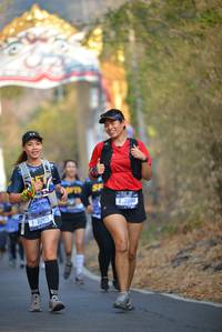 BIB: 7096, 7269
                            <button type="button" onclick="openModal(7241509)" class="btn btn-primary btn-sm float-right btn-popup" data-toggle="modal" data-target=".modal-high-quality">
                        <i class="fas fa-shopping-cart"></i> Add to Cart
                    </button>
                                            <button type="button" onclick="isThisMe(7241509, true)" class="btn btn-success btn-sm float-right btn-popup btn-isme hidden" data-toggle="tooltip" data-placement="bottom" title="นี่คือรูปของคุณใช่ไหม คลิกที่นี่เพื่อเอาเข้าอัลบั้ม">
                        <i class="fas fa-plus"></i> Add to album
                    </button>
                    <button type="button" onclick="isThisMe(7241509, false)" class="btn btn-warning btn-sm float-right btn-popup btn-isnotme hidden">
                        <i class="fas fa-ban"></i> Remove from album
                    </button>