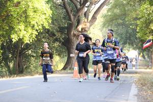 BIB: 
                            <button type="button" onclick="openModal(7202246)" class="btn btn-primary btn-sm float-right btn-popup" data-toggle="modal" data-target=".modal-high-quality">
                        <i class="fas fa-shopping-cart"></i> Add to Cart
                    </button>
                                            <button type="button" onclick="isThisMe(7202246, true)" class="btn btn-success btn-sm float-right btn-popup btn-isme hidden" data-toggle="tooltip" data-placement="bottom" title="นี่คือรูปของคุณใช่ไหม คลิกที่นี่เพื่อเอาเข้าอัลบั้ม">
                        <i class="fas fa-plus"></i> Add to album
                    </button>
                    <button type="button" onclick="isThisMe(7202246, false)" class="btn btn-warning btn-sm float-right btn-popup btn-isnotme hidden">
                        <i class="fas fa-ban"></i> Remove from album
                    </button>