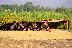 BIB: 
                            <button type="button" onclick="openModal(7204329)" class="btn btn-primary btn-sm float-right btn-popup" data-toggle="modal" data-target=".modal-high-quality">
                        <i class="fas fa-shopping-cart"></i> Add to Cart
                    </button>
                                            <button type="button" onclick="isThisMe(7204329, true)" class="btn btn-success btn-sm float-right btn-popup btn-isme hidden" data-toggle="tooltip" data-placement="bottom" title="นี่คือรูปของคุณใช่ไหม คลิกที่นี่เพื่อเอาเข้าอัลบั้ม">
                        <i class="fas fa-plus"></i> Add to album
                    </button>
                    <button type="button" onclick="isThisMe(7204329, false)" class="btn btn-warning btn-sm float-right btn-popup btn-isnotme hidden">
                        <i class="fas fa-ban"></i> Remove from album
                    </button>