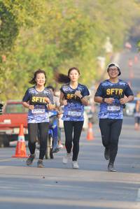 BIB: 7084, 2028
                            <button type="button" onclick="openModal(7169795)" class="btn btn-primary btn-sm float-right btn-popup" data-toggle="modal" data-target=".modal-high-quality">
                        <i class="fas fa-shopping-cart"></i> Add to Cart
                    </button>
                                            <button type="button" onclick="isThisMe(7169795, true)" class="btn btn-success btn-sm float-right btn-popup btn-isme hidden" data-toggle="tooltip" data-placement="bottom" title="นี่คือรูปของคุณใช่ไหม คลิกที่นี่เพื่อเอาเข้าอัลบั้ม">
                        <i class="fas fa-plus"></i> Add to album
                    </button>
                    <button type="button" onclick="isThisMe(7169795, false)" class="btn btn-warning btn-sm float-right btn-popup btn-isnotme hidden">
                        <i class="fas fa-ban"></i> Remove from album
                    </button>