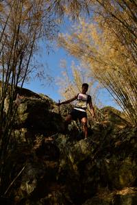 BIB: 
                            <button type="button" onclick="openModal(7181209)" class="btn btn-primary btn-sm float-right btn-popup" data-toggle="modal" data-target=".modal-high-quality">
                        <i class="fas fa-shopping-cart"></i> Add to Cart
                    </button>
                                            <button type="button" onclick="isThisMe(7181209, true)" class="btn btn-success btn-sm float-right btn-popup btn-isme hidden" data-toggle="tooltip" data-placement="bottom" title="นี่คือรูปของคุณใช่ไหม คลิกที่นี่เพื่อเอาเข้าอัลบั้ม">
                        <i class="fas fa-plus"></i> Add to album
                    </button>
                    <button type="button" onclick="isThisMe(7181209, false)" class="btn btn-warning btn-sm float-right btn-popup btn-isnotme hidden">
                        <i class="fas fa-ban"></i> Remove from album
                    </button>