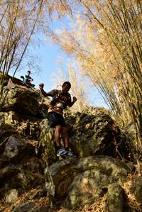 BIB: 
                            <button type="button" onclick="openModal(7181073)" class="btn btn-primary btn-sm float-right btn-popup" data-toggle="modal" data-target=".modal-high-quality">
                        <i class="fas fa-shopping-cart"></i> Add to Cart
                    </button>
                                            <button type="button" onclick="isThisMe(7181073, true)" class="btn btn-success btn-sm float-right btn-popup btn-isme hidden" data-toggle="tooltip" data-placement="bottom" title="นี่คือรูปของคุณใช่ไหม คลิกที่นี่เพื่อเอาเข้าอัลบั้ม">
                        <i class="fas fa-plus"></i> Add to album
                    </button>
                    <button type="button" onclick="isThisMe(7181073, false)" class="btn btn-warning btn-sm float-right btn-popup btn-isnotme hidden">
                        <i class="fas fa-ban"></i> Remove from album
                    </button>