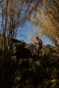 BIB: 
                            <button type="button" onclick="openModal(7181217)" class="btn btn-primary btn-sm float-right btn-popup" data-toggle="modal" data-target=".modal-high-quality">
                        <i class="fas fa-shopping-cart"></i> Add to Cart
                    </button>
                                            <button type="button" onclick="isThisMe(7181217, true)" class="btn btn-success btn-sm float-right btn-popup btn-isme hidden" data-toggle="tooltip" data-placement="bottom" title="นี่คือรูปของคุณใช่ไหม คลิกที่นี่เพื่อเอาเข้าอัลบั้ม">
                        <i class="fas fa-plus"></i> Add to album
                    </button>
                    <button type="button" onclick="isThisMe(7181217, false)" class="btn btn-warning btn-sm float-right btn-popup btn-isnotme hidden">
                        <i class="fas fa-ban"></i> Remove from album
                    </button>