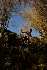 BIB: 
                            <button type="button" onclick="openModal(7181194)" class="btn btn-primary btn-sm float-right btn-popup" data-toggle="modal" data-target=".modal-high-quality">
                        <i class="fas fa-shopping-cart"></i> Add to Cart
                    </button>
                                            <button type="button" onclick="isThisMe(7181194, true)" class="btn btn-success btn-sm float-right btn-popup btn-isme hidden" data-toggle="tooltip" data-placement="bottom" title="นี่คือรูปของคุณใช่ไหม คลิกที่นี่เพื่อเอาเข้าอัลบั้ม">
                        <i class="fas fa-plus"></i> Add to album
                    </button>
                    <button type="button" onclick="isThisMe(7181194, false)" class="btn btn-warning btn-sm float-right btn-popup btn-isnotme hidden">
                        <i class="fas fa-ban"></i> Remove from album
                    </button>