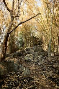 BIB: 
                            <button type="button" onclick="openModal(7181085)" class="btn btn-primary btn-sm float-right btn-popup" data-toggle="modal" data-target=".modal-high-quality">
                        <i class="fas fa-shopping-cart"></i> Add to Cart
                    </button>
                                            <button type="button" onclick="isThisMe(7181085, true)" class="btn btn-success btn-sm float-right btn-popup btn-isme hidden" data-toggle="tooltip" data-placement="bottom" title="นี่คือรูปของคุณใช่ไหม คลิกที่นี่เพื่อเอาเข้าอัลบั้ม">
                        <i class="fas fa-plus"></i> Add to album
                    </button>
                    <button type="button" onclick="isThisMe(7181085, false)" class="btn btn-warning btn-sm float-right btn-popup btn-isnotme hidden">
                        <i class="fas fa-ban"></i> Remove from album
                    </button>