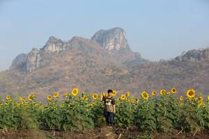 BIB: 
                            <button type="button" onclick="openModal(7214959)" class="btn btn-primary btn-sm float-right btn-popup" data-toggle="modal" data-target=".modal-high-quality">
                        <i class="fas fa-shopping-cart"></i> Add to Cart
                    </button>
                                            <button type="button" onclick="isThisMe(7214959, true)" class="btn btn-success btn-sm float-right btn-popup btn-isme hidden" data-toggle="tooltip" data-placement="bottom" title="นี่คือรูปของคุณใช่ไหม คลิกที่นี่เพื่อเอาเข้าอัลบั้ม">
                        <i class="fas fa-plus"></i> Add to album
                    </button>
                    <button type="button" onclick="isThisMe(7214959, false)" class="btn btn-warning btn-sm float-right btn-popup btn-isnotme hidden">
                        <i class="fas fa-ban"></i> Remove from album
                    </button>