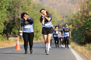 BIB: 
                            <button type="button" onclick="openModal(7215137)" class="btn btn-primary btn-sm float-right btn-popup" data-toggle="modal" data-target=".modal-high-quality">
                        <i class="fas fa-shopping-cart"></i> Add to Cart
                    </button>
                                            <button type="button" onclick="isThisMe(7215137, true)" class="btn btn-success btn-sm float-right btn-popup btn-isme hidden" data-toggle="tooltip" data-placement="bottom" title="นี่คือรูปของคุณใช่ไหม คลิกที่นี่เพื่อเอาเข้าอัลบั้ม">
                        <i class="fas fa-plus"></i> Add to album
                    </button>
                    <button type="button" onclick="isThisMe(7215137, false)" class="btn btn-warning btn-sm float-right btn-popup btn-isnotme hidden">
                        <i class="fas fa-ban"></i> Remove from album
                    </button>