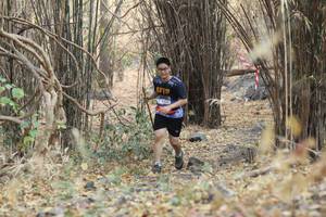 BIB: 
                            <button type="button" onclick="openModal(7161314)" class="btn btn-primary btn-sm float-right btn-popup" data-toggle="modal" data-target=".modal-high-quality">
                        <i class="fas fa-shopping-cart"></i> Add to Cart
                    </button>
                                            <button type="button" onclick="isThisMe(7161314, true)" class="btn btn-success btn-sm float-right btn-popup btn-isme hidden" data-toggle="tooltip" data-placement="bottom" title="นี่คือรูปของคุณใช่ไหม คลิกที่นี่เพื่อเอาเข้าอัลบั้ม">
                        <i class="fas fa-plus"></i> Add to album
                    </button>
                    <button type="button" onclick="isThisMe(7161314, false)" class="btn btn-warning btn-sm float-right btn-popup btn-isnotme hidden">
                        <i class="fas fa-ban"></i> Remove from album
                    </button>