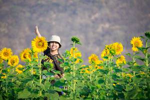 BIB: 
                            <button type="button" onclick="openModal(7219657)" class="btn btn-primary btn-sm float-right btn-popup" data-toggle="modal" data-target=".modal-high-quality">
                        <i class="fas fa-shopping-cart"></i> Add to Cart
                    </button>
                                            <button type="button" onclick="isThisMe(7219657, true)" class="btn btn-success btn-sm float-right btn-popup btn-isme hidden" data-toggle="tooltip" data-placement="bottom" title="นี่คือรูปของคุณใช่ไหม คลิกที่นี่เพื่อเอาเข้าอัลบั้ม">
                        <i class="fas fa-plus"></i> Add to album
                    </button>
                    <button type="button" onclick="isThisMe(7219657, false)" class="btn btn-warning btn-sm float-right btn-popup btn-isnotme hidden">
                        <i class="fas fa-ban"></i> Remove from album
                    </button>