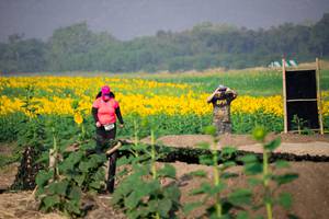 BIB: 
                            <button type="button" onclick="openModal(7219727)" class="btn btn-primary btn-sm float-right btn-popup" data-toggle="modal" data-target=".modal-high-quality">
                        <i class="fas fa-shopping-cart"></i> Add to Cart
                    </button>
                                            <button type="button" onclick="isThisMe(7219727, true)" class="btn btn-success btn-sm float-right btn-popup btn-isme hidden" data-toggle="tooltip" data-placement="bottom" title="นี่คือรูปของคุณใช่ไหม คลิกที่นี่เพื่อเอาเข้าอัลบั้ม">
                        <i class="fas fa-plus"></i> Add to album
                    </button>
                    <button type="button" onclick="isThisMe(7219727, false)" class="btn btn-warning btn-sm float-right btn-popup btn-isnotme hidden">
                        <i class="fas fa-ban"></i> Remove from album
                    </button>