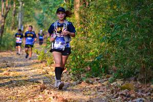 BIB: 
                            <button type="button" onclick="openModal(7213192)" class="btn btn-primary btn-sm float-right btn-popup" data-toggle="modal" data-target=".modal-high-quality">
                        <i class="fas fa-shopping-cart"></i> Add to Cart
                    </button>
                                            <button type="button" onclick="isThisMe(7213192, true)" class="btn btn-success btn-sm float-right btn-popup btn-isme hidden" data-toggle="tooltip" data-placement="bottom" title="นี่คือรูปของคุณใช่ไหม คลิกที่นี่เพื่อเอาเข้าอัลบั้ม">
                        <i class="fas fa-plus"></i> Add to album
                    </button>
                    <button type="button" onclick="isThisMe(7213192, false)" class="btn btn-warning btn-sm float-right btn-popup btn-isnotme hidden">
                        <i class="fas fa-ban"></i> Remove from album
                    </button>