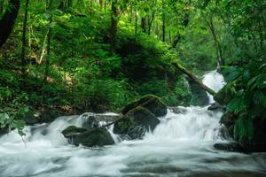 BIB: 
                            <button type="button" onclick="openModal(25045347)" class="btn btn-primary btn-sm float-right btn-popup" data-toggle="modal" data-target=".modal-high-quality">
                        <i class="fas fa-shopping-cart"></i> Add to Cart
                    </button>
                                            <button type="button" onclick="isThisMe(25045347, true)" class="btn btn-success btn-sm float-right btn-popup btn-isme hidden" data-toggle="tooltip" data-placement="bottom" title="นี่คือรูปของคุณใช่ไหม คลิกที่นี่เพื่อเอาเข้าอัลบั้ม">
                        <i class="fas fa-plus"></i> Add to album
                    </button>
                    <button type="button" onclick="isThisMe(25045347, false)" class="btn btn-warning btn-sm float-right btn-popup btn-isnotme hidden">
                        <i class="fas fa-ban"></i> Remove from album
                    </button>