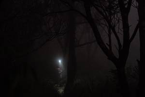 BIB: 
                            <button type="button" onclick="openModal(25045492)" class="btn btn-primary btn-sm float-right btn-popup" data-toggle="modal" data-target=".modal-high-quality">
                        <i class="fas fa-shopping-cart"></i> Add to Cart
                    </button>
                                            <button type="button" onclick="isThisMe(25045492, true)" class="btn btn-success btn-sm float-right btn-popup btn-isme hidden" data-toggle="tooltip" data-placement="bottom" title="นี่คือรูปของคุณใช่ไหม คลิกที่นี่เพื่อเอาเข้าอัลบั้ม">
                        <i class="fas fa-plus"></i> Add to album
                    </button>
                    <button type="button" onclick="isThisMe(25045492, false)" class="btn btn-warning btn-sm float-right btn-popup btn-isnotme hidden">
                        <i class="fas fa-ban"></i> Remove from album
                    </button>