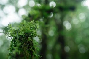 BIB: 
                            <button type="button" onclick="openModal(25045377)" class="btn btn-primary btn-sm float-right btn-popup" data-toggle="modal" data-target=".modal-high-quality">
                        <i class="fas fa-shopping-cart"></i> Add to Cart
                    </button>
                                            <button type="button" onclick="isThisMe(25045377, true)" class="btn btn-success btn-sm float-right btn-popup btn-isme hidden" data-toggle="tooltip" data-placement="bottom" title="นี่คือรูปของคุณใช่ไหม คลิกที่นี่เพื่อเอาเข้าอัลบั้ม">
                        <i class="fas fa-plus"></i> Add to album
                    </button>
                    <button type="button" onclick="isThisMe(25045377, false)" class="btn btn-warning btn-sm float-right btn-popup btn-isnotme hidden">
                        <i class="fas fa-ban"></i> Remove from album
                    </button>