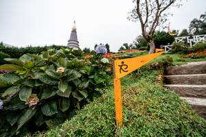 BIB: 
                            <button type="button" onclick="openModal(25044313)" class="btn btn-primary btn-sm float-right btn-popup" data-toggle="modal" data-target=".modal-high-quality">
                        <i class="fas fa-shopping-cart"></i> Add to Cart
                    </button>
                                            <button type="button" onclick="isThisMe(25044313, true)" class="btn btn-success btn-sm float-right btn-popup btn-isme hidden" data-toggle="tooltip" data-placement="bottom" title="นี่คือรูปของคุณใช่ไหม คลิกที่นี่เพื่อเอาเข้าอัลบั้ม">
                        <i class="fas fa-plus"></i> Add to album
                    </button>
                    <button type="button" onclick="isThisMe(25044313, false)" class="btn btn-warning btn-sm float-right btn-popup btn-isnotme hidden">
                        <i class="fas fa-ban"></i> Remove from album
                    </button>