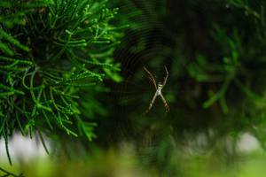 BIB: 
                            <button type="button" onclick="openModal(25044788)" class="btn btn-primary btn-sm float-right btn-popup" data-toggle="modal" data-target=".modal-high-quality">
                        <i class="fas fa-shopping-cart"></i> Add to Cart
                    </button>
                                            <button type="button" onclick="isThisMe(25044788, true)" class="btn btn-success btn-sm float-right btn-popup btn-isme hidden" data-toggle="tooltip" data-placement="bottom" title="นี่คือรูปของคุณใช่ไหม คลิกที่นี่เพื่อเอาเข้าอัลบั้ม">
                        <i class="fas fa-plus"></i> Add to album
                    </button>
                    <button type="button" onclick="isThisMe(25044788, false)" class="btn btn-warning btn-sm float-right btn-popup btn-isnotme hidden">
                        <i class="fas fa-ban"></i> Remove from album
                    </button>