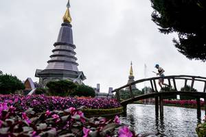 BIB: 
                            <button type="button" onclick="openModal(25044289)" class="btn btn-primary btn-sm float-right btn-popup" data-toggle="modal" data-target=".modal-high-quality">
                        <i class="fas fa-shopping-cart"></i> Add to Cart
                    </button>
                                            <button type="button" onclick="isThisMe(25044289, true)" class="btn btn-success btn-sm float-right btn-popup btn-isme hidden" data-toggle="tooltip" data-placement="bottom" title="นี่คือรูปของคุณใช่ไหม คลิกที่นี่เพื่อเอาเข้าอัลบั้ม">
                        <i class="fas fa-plus"></i> Add to album
                    </button>
                    <button type="button" onclick="isThisMe(25044289, false)" class="btn btn-warning btn-sm float-right btn-popup btn-isnotme hidden">
                        <i class="fas fa-ban"></i> Remove from album
                    </button>