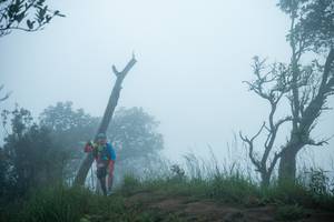 BIB: 
                            <button type="button" onclick="openModal(25045408)" class="btn btn-primary btn-sm float-right btn-popup" data-toggle="modal" data-target=".modal-high-quality">
                        <i class="fas fa-shopping-cart"></i> Add to Cart
                    </button>
                                            <button type="button" onclick="isThisMe(25045408, true)" class="btn btn-success btn-sm float-right btn-popup btn-isme hidden" data-toggle="tooltip" data-placement="bottom" title="นี่คือรูปของคุณใช่ไหม คลิกที่นี่เพื่อเอาเข้าอัลบั้ม">
                        <i class="fas fa-plus"></i> Add to album
                    </button>
                    <button type="button" onclick="isThisMe(25045408, false)" class="btn btn-warning btn-sm float-right btn-popup btn-isnotme hidden">
                        <i class="fas fa-ban"></i> Remove from album
                    </button>