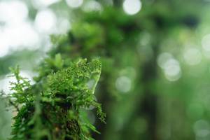 BIB: 
                            <button type="button" onclick="openModal(25045375)" class="btn btn-primary btn-sm float-right btn-popup" data-toggle="modal" data-target=".modal-high-quality">
                        <i class="fas fa-shopping-cart"></i> Add to Cart
                    </button>
                                            <button type="button" onclick="isThisMe(25045375, true)" class="btn btn-success btn-sm float-right btn-popup btn-isme hidden" data-toggle="tooltip" data-placement="bottom" title="นี่คือรูปของคุณใช่ไหม คลิกที่นี่เพื่อเอาเข้าอัลบั้ม">
                        <i class="fas fa-plus"></i> Add to album
                    </button>
                    <button type="button" onclick="isThisMe(25045375, false)" class="btn btn-warning btn-sm float-right btn-popup btn-isnotme hidden">
                        <i class="fas fa-ban"></i> Remove from album
                    </button>