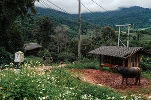 BIB: 
                            <button type="button" onclick="openModal(25045102)" class="btn btn-primary btn-sm float-right btn-popup" data-toggle="modal" data-target=".modal-high-quality">
                        <i class="fas fa-shopping-cart"></i> Add to Cart
                    </button>
                                            <button type="button" onclick="isThisMe(25045102, true)" class="btn btn-success btn-sm float-right btn-popup btn-isme hidden" data-toggle="tooltip" data-placement="bottom" title="นี่คือรูปของคุณใช่ไหม คลิกที่นี่เพื่อเอาเข้าอัลบั้ม">
                        <i class="fas fa-plus"></i> Add to album
                    </button>
                    <button type="button" onclick="isThisMe(25045102, false)" class="btn btn-warning btn-sm float-right btn-popup btn-isnotme hidden">
                        <i class="fas fa-ban"></i> Remove from album
                    </button>