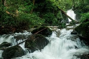 BIB: 
                            <button type="button" onclick="openModal(25045343)" class="btn btn-primary btn-sm float-right btn-popup" data-toggle="modal" data-target=".modal-high-quality">
                        <i class="fas fa-shopping-cart"></i> Add to Cart
                    </button>
                                            <button type="button" onclick="isThisMe(25045343, true)" class="btn btn-success btn-sm float-right btn-popup btn-isme hidden" data-toggle="tooltip" data-placement="bottom" title="นี่คือรูปของคุณใช่ไหม คลิกที่นี่เพื่อเอาเข้าอัลบั้ม">
                        <i class="fas fa-plus"></i> Add to album
                    </button>
                    <button type="button" onclick="isThisMe(25045343, false)" class="btn btn-warning btn-sm float-right btn-popup btn-isnotme hidden">
                        <i class="fas fa-ban"></i> Remove from album
                    </button>