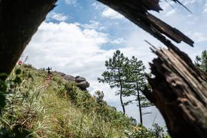 BIB: 
                            <button type="button" onclick="openModal(25044386)" class="btn btn-primary btn-sm float-right btn-popup" data-toggle="modal" data-target=".modal-high-quality">
                        <i class="fas fa-shopping-cart"></i> Add to Cart
                    </button>
                                            <button type="button" onclick="isThisMe(25044386, true)" class="btn btn-success btn-sm float-right btn-popup btn-isme hidden" data-toggle="tooltip" data-placement="bottom" title="นี่คือรูปของคุณใช่ไหม คลิกที่นี่เพื่อเอาเข้าอัลบั้ม">
                        <i class="fas fa-plus"></i> Add to album
                    </button>
                    <button type="button" onclick="isThisMe(25044386, false)" class="btn btn-warning btn-sm float-right btn-popup btn-isnotme hidden">
                        <i class="fas fa-ban"></i> Remove from album
                    </button>