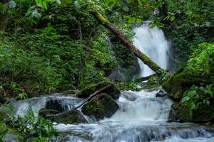 BIB: 
                            <button type="button" onclick="openModal(25045328)" class="btn btn-primary btn-sm float-right btn-popup" data-toggle="modal" data-target=".modal-high-quality">
                        <i class="fas fa-shopping-cart"></i> Add to Cart
                    </button>
                                            <button type="button" onclick="isThisMe(25045328, true)" class="btn btn-success btn-sm float-right btn-popup btn-isme hidden" data-toggle="tooltip" data-placement="bottom" title="นี่คือรูปของคุณใช่ไหม คลิกที่นี่เพื่อเอาเข้าอัลบั้ม">
                        <i class="fas fa-plus"></i> Add to album
                    </button>
                    <button type="button" onclick="isThisMe(25045328, false)" class="btn btn-warning btn-sm float-right btn-popup btn-isnotme hidden">
                        <i class="fas fa-ban"></i> Remove from album
                    </button>