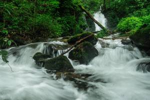 BIB: 
                            <button type="button" onclick="openModal(25045350)" class="btn btn-primary btn-sm float-right btn-popup" data-toggle="modal" data-target=".modal-high-quality">
                        <i class="fas fa-shopping-cart"></i> Add to Cart
                    </button>
                                            <button type="button" onclick="isThisMe(25045350, true)" class="btn btn-success btn-sm float-right btn-popup btn-isme hidden" data-toggle="tooltip" data-placement="bottom" title="นี่คือรูปของคุณใช่ไหม คลิกที่นี่เพื่อเอาเข้าอัลบั้ม">
                        <i class="fas fa-plus"></i> Add to album
                    </button>
                    <button type="button" onclick="isThisMe(25045350, false)" class="btn btn-warning btn-sm float-right btn-popup btn-isnotme hidden">
                        <i class="fas fa-ban"></i> Remove from album
                    </button>