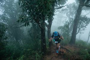 BIB: 
                            <button type="button" onclick="openModal(25045393)" class="btn btn-primary btn-sm float-right btn-popup" data-toggle="modal" data-target=".modal-high-quality">
                        <i class="fas fa-shopping-cart"></i> Add to Cart
                    </button>
                                            <button type="button" onclick="isThisMe(25045393, true)" class="btn btn-success btn-sm float-right btn-popup btn-isme hidden" data-toggle="tooltip" data-placement="bottom" title="นี่คือรูปของคุณใช่ไหม คลิกที่นี่เพื่อเอาเข้าอัลบั้ม">
                        <i class="fas fa-plus"></i> Add to album
                    </button>
                    <button type="button" onclick="isThisMe(25045393, false)" class="btn btn-warning btn-sm float-right btn-popup btn-isnotme hidden">
                        <i class="fas fa-ban"></i> Remove from album
                    </button>