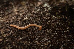 BIB: 
                            <button type="button" onclick="openModal(25045384)" class="btn btn-primary btn-sm float-right btn-popup" data-toggle="modal" data-target=".modal-high-quality">
                        <i class="fas fa-shopping-cart"></i> Add to Cart
                    </button>
                                            <button type="button" onclick="isThisMe(25045384, true)" class="btn btn-success btn-sm float-right btn-popup btn-isme hidden" data-toggle="tooltip" data-placement="bottom" title="นี่คือรูปของคุณใช่ไหม คลิกที่นี่เพื่อเอาเข้าอัลบั้ม">
                        <i class="fas fa-plus"></i> Add to album
                    </button>
                    <button type="button" onclick="isThisMe(25045384, false)" class="btn btn-warning btn-sm float-right btn-popup btn-isnotme hidden">
                        <i class="fas fa-ban"></i> Remove from album
                    </button>