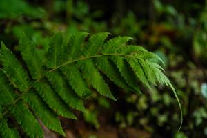 BIB: 
                            <button type="button" onclick="openModal(25044781)" class="btn btn-primary btn-sm float-right btn-popup" data-toggle="modal" data-target=".modal-high-quality">
                        <i class="fas fa-shopping-cart"></i> Add to Cart
                    </button>
                                            <button type="button" onclick="isThisMe(25044781, true)" class="btn btn-success btn-sm float-right btn-popup btn-isme hidden" data-toggle="tooltip" data-placement="bottom" title="นี่คือรูปของคุณใช่ไหม คลิกที่นี่เพื่อเอาเข้าอัลบั้ม">
                        <i class="fas fa-plus"></i> Add to album
                    </button>
                    <button type="button" onclick="isThisMe(25044781, false)" class="btn btn-warning btn-sm float-right btn-popup btn-isnotme hidden">
                        <i class="fas fa-ban"></i> Remove from album
                    </button>