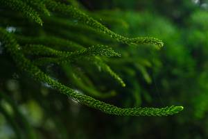 BIB: 
                            <button type="button" onclick="openModal(25044783)" class="btn btn-primary btn-sm float-right btn-popup" data-toggle="modal" data-target=".modal-high-quality">
                        <i class="fas fa-shopping-cart"></i> Add to Cart
                    </button>
                                            <button type="button" onclick="isThisMe(25044783, true)" class="btn btn-success btn-sm float-right btn-popup btn-isme hidden" data-toggle="tooltip" data-placement="bottom" title="นี่คือรูปของคุณใช่ไหม คลิกที่นี่เพื่อเอาเข้าอัลบั้ม">
                        <i class="fas fa-plus"></i> Add to album
                    </button>
                    <button type="button" onclick="isThisMe(25044783, false)" class="btn btn-warning btn-sm float-right btn-popup btn-isnotme hidden">
                        <i class="fas fa-ban"></i> Remove from album
                    </button>