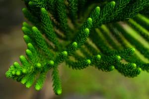 BIB: 
                            <button type="button" onclick="openModal(25044777)" class="btn btn-primary btn-sm float-right btn-popup" data-toggle="modal" data-target=".modal-high-quality">
                        <i class="fas fa-shopping-cart"></i> Add to Cart
                    </button>
                                            <button type="button" onclick="isThisMe(25044777, true)" class="btn btn-success btn-sm float-right btn-popup btn-isme hidden" data-toggle="tooltip" data-placement="bottom" title="นี่คือรูปของคุณใช่ไหม คลิกที่นี่เพื่อเอาเข้าอัลบั้ม">
                        <i class="fas fa-plus"></i> Add to album
                    </button>
                    <button type="button" onclick="isThisMe(25044777, false)" class="btn btn-warning btn-sm float-right btn-popup btn-isnotme hidden">
                        <i class="fas fa-ban"></i> Remove from album
                    </button>