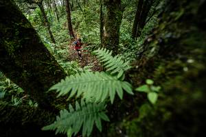 BIB: 
                            <button type="button" onclick="openModal(25044361)" class="btn btn-primary btn-sm float-right btn-popup" data-toggle="modal" data-target=".modal-high-quality">
                        <i class="fas fa-shopping-cart"></i> Add to Cart
                    </button>
                                            <button type="button" onclick="isThisMe(25044361, true)" class="btn btn-success btn-sm float-right btn-popup btn-isme hidden" data-toggle="tooltip" data-placement="bottom" title="นี่คือรูปของคุณใช่ไหม คลิกที่นี่เพื่อเอาเข้าอัลบั้ม">
                        <i class="fas fa-plus"></i> Add to album
                    </button>
                    <button type="button" onclick="isThisMe(25044361, false)" class="btn btn-warning btn-sm float-right btn-popup btn-isnotme hidden">
                        <i class="fas fa-ban"></i> Remove from album
                    </button>