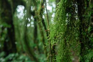 BIB: 
                            <button type="button" onclick="openModal(25045379)" class="btn btn-primary btn-sm float-right btn-popup" data-toggle="modal" data-target=".modal-high-quality">
                        <i class="fas fa-shopping-cart"></i> Add to Cart
                    </button>
                                            <button type="button" onclick="isThisMe(25045379, true)" class="btn btn-success btn-sm float-right btn-popup btn-isme hidden" data-toggle="tooltip" data-placement="bottom" title="นี่คือรูปของคุณใช่ไหม คลิกที่นี่เพื่อเอาเข้าอัลบั้ม">
                        <i class="fas fa-plus"></i> Add to album
                    </button>
                    <button type="button" onclick="isThisMe(25045379, false)" class="btn btn-warning btn-sm float-right btn-popup btn-isnotme hidden">
                        <i class="fas fa-ban"></i> Remove from album
                    </button>