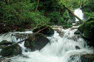 BIB: 
                            <button type="button" onclick="openModal(25045337)" class="btn btn-primary btn-sm float-right btn-popup" data-toggle="modal" data-target=".modal-high-quality">
                        <i class="fas fa-shopping-cart"></i> Add to Cart
                    </button>
                                            <button type="button" onclick="isThisMe(25045337, true)" class="btn btn-success btn-sm float-right btn-popup btn-isme hidden" data-toggle="tooltip" data-placement="bottom" title="นี่คือรูปของคุณใช่ไหม คลิกที่นี่เพื่อเอาเข้าอัลบั้ม">
                        <i class="fas fa-plus"></i> Add to album
                    </button>
                    <button type="button" onclick="isThisMe(25045337, false)" class="btn btn-warning btn-sm float-right btn-popup btn-isnotme hidden">
                        <i class="fas fa-ban"></i> Remove from album
                    </button>