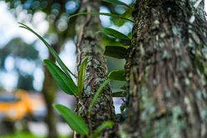 BIB: 
                            <button type="button" onclick="openModal(25044774)" class="btn btn-primary btn-sm float-right btn-popup" data-toggle="modal" data-target=".modal-high-quality">
                        <i class="fas fa-shopping-cart"></i> Add to Cart
                    </button>
                                            <button type="button" onclick="isThisMe(25044774, true)" class="btn btn-success btn-sm float-right btn-popup btn-isme hidden" data-toggle="tooltip" data-placement="bottom" title="นี่คือรูปของคุณใช่ไหม คลิกที่นี่เพื่อเอาเข้าอัลบั้ม">
                        <i class="fas fa-plus"></i> Add to album
                    </button>
                    <button type="button" onclick="isThisMe(25044774, false)" class="btn btn-warning btn-sm float-right btn-popup btn-isnotme hidden">
                        <i class="fas fa-ban"></i> Remove from album
                    </button>