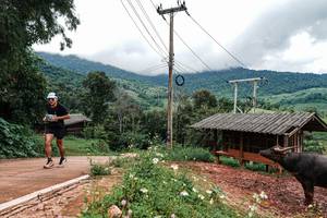 BIB: 
                            <button type="button" onclick="openModal(25045112)" class="btn btn-primary btn-sm float-right btn-popup" data-toggle="modal" data-target=".modal-high-quality">
                        <i class="fas fa-shopping-cart"></i> Add to Cart
                    </button>
                                            <button type="button" onclick="isThisMe(25045112, true)" class="btn btn-success btn-sm float-right btn-popup btn-isme hidden" data-toggle="tooltip" data-placement="bottom" title="นี่คือรูปของคุณใช่ไหม คลิกที่นี่เพื่อเอาเข้าอัลบั้ม">
                        <i class="fas fa-plus"></i> Add to album
                    </button>
                    <button type="button" onclick="isThisMe(25045112, false)" class="btn btn-warning btn-sm float-right btn-popup btn-isnotme hidden">
                        <i class="fas fa-ban"></i> Remove from album
                    </button>