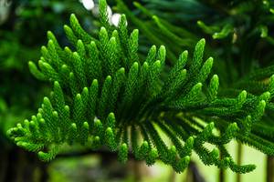 BIB: 
                            <button type="button" onclick="openModal(25044776)" class="btn btn-primary btn-sm float-right btn-popup" data-toggle="modal" data-target=".modal-high-quality">
                        <i class="fas fa-shopping-cart"></i> Add to Cart
                    </button>
                                            <button type="button" onclick="isThisMe(25044776, true)" class="btn btn-success btn-sm float-right btn-popup btn-isme hidden" data-toggle="tooltip" data-placement="bottom" title="นี่คือรูปของคุณใช่ไหม คลิกที่นี่เพื่อเอาเข้าอัลบั้ม">
                        <i class="fas fa-plus"></i> Add to album
                    </button>
                    <button type="button" onclick="isThisMe(25044776, false)" class="btn btn-warning btn-sm float-right btn-popup btn-isnotme hidden">
                        <i class="fas fa-ban"></i> Remove from album
                    </button>