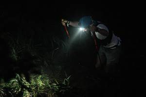 BIB: 
                            <button type="button" onclick="openModal(25045494)" class="btn btn-primary btn-sm float-right btn-popup" data-toggle="modal" data-target=".modal-high-quality">
                        <i class="fas fa-shopping-cart"></i> Add to Cart
                    </button>
                                            <button type="button" onclick="isThisMe(25045494, true)" class="btn btn-success btn-sm float-right btn-popup btn-isme hidden" data-toggle="tooltip" data-placement="bottom" title="นี่คือรูปของคุณใช่ไหม คลิกที่นี่เพื่อเอาเข้าอัลบั้ม">
                        <i class="fas fa-plus"></i> Add to album
                    </button>
                    <button type="button" onclick="isThisMe(25045494, false)" class="btn btn-warning btn-sm float-right btn-popup btn-isnotme hidden">
                        <i class="fas fa-ban"></i> Remove from album
                    </button>