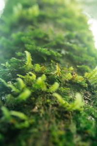 BIB: 
                            <button type="button" onclick="openModal(25045373)" class="btn btn-primary btn-sm float-right btn-popup" data-toggle="modal" data-target=".modal-high-quality">
                        <i class="fas fa-shopping-cart"></i> Add to Cart
                    </button>
                                            <button type="button" onclick="isThisMe(25045373, true)" class="btn btn-success btn-sm float-right btn-popup btn-isme hidden" data-toggle="tooltip" data-placement="bottom" title="นี่คือรูปของคุณใช่ไหม คลิกที่นี่เพื่อเอาเข้าอัลบั้ม">
                        <i class="fas fa-plus"></i> Add to album
                    </button>
                    <button type="button" onclick="isThisMe(25045373, false)" class="btn btn-warning btn-sm float-right btn-popup btn-isnotme hidden">
                        <i class="fas fa-ban"></i> Remove from album
                    </button>