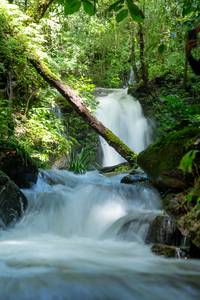 BIB: 
                            <button type="button" onclick="openModal(25045323)" class="btn btn-primary btn-sm float-right btn-popup" data-toggle="modal" data-target=".modal-high-quality">
                        <i class="fas fa-shopping-cart"></i> Add to Cart
                    </button>
                                            <button type="button" onclick="isThisMe(25045323, true)" class="btn btn-success btn-sm float-right btn-popup btn-isme hidden" data-toggle="tooltip" data-placement="bottom" title="นี่คือรูปของคุณใช่ไหม คลิกที่นี่เพื่อเอาเข้าอัลบั้ม">
                        <i class="fas fa-plus"></i> Add to album
                    </button>
                    <button type="button" onclick="isThisMe(25045323, false)" class="btn btn-warning btn-sm float-right btn-popup btn-isnotme hidden">
                        <i class="fas fa-ban"></i> Remove from album
                    </button>